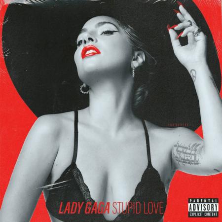 Lady Gaga - Stupid Love