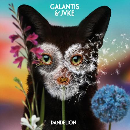 Galantis - JVKE - Dandelion