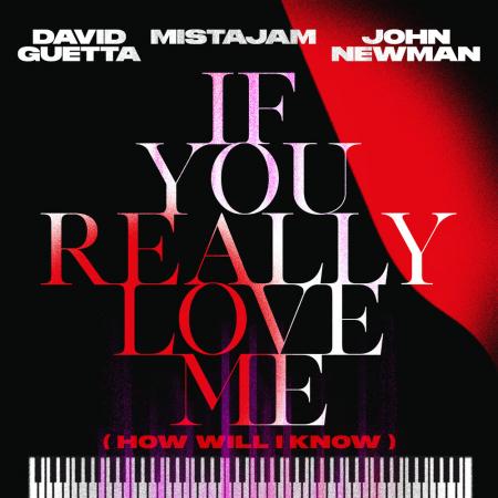 David Guetta - MistaJam, John Newman - If You Really Love Me (How Will I Know)